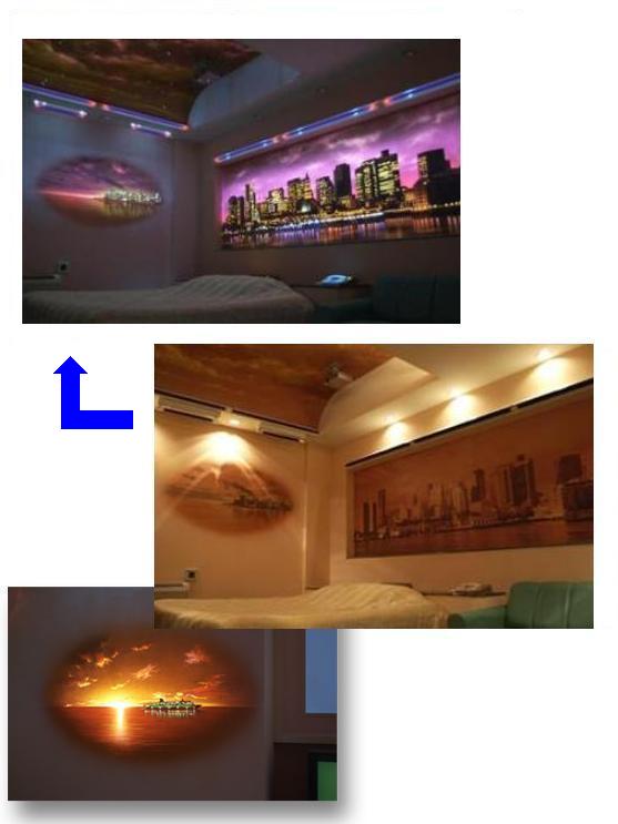 �\�t�B�A�V�[�g